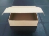 packaging-17
