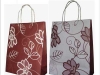 paper_bag-12